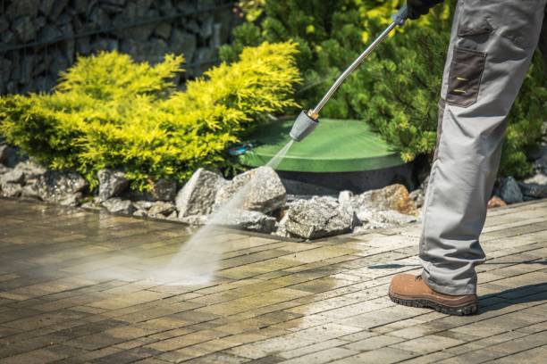 Best Animal Enclosure Cleaning  in Antigo, WI