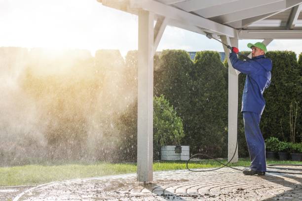 Best Boat and Dock Cleaning  in Antigo, WI