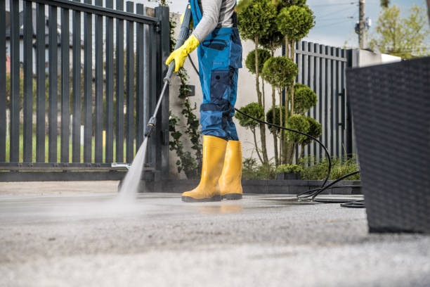 Best Driveway Pressure Washing  in Antigo, WI
